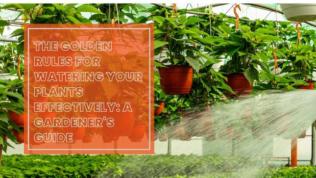 Золотые правила эффективного полива растений: руководство садовода