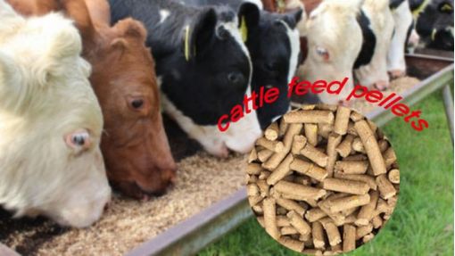 How to make cattle feed pellets