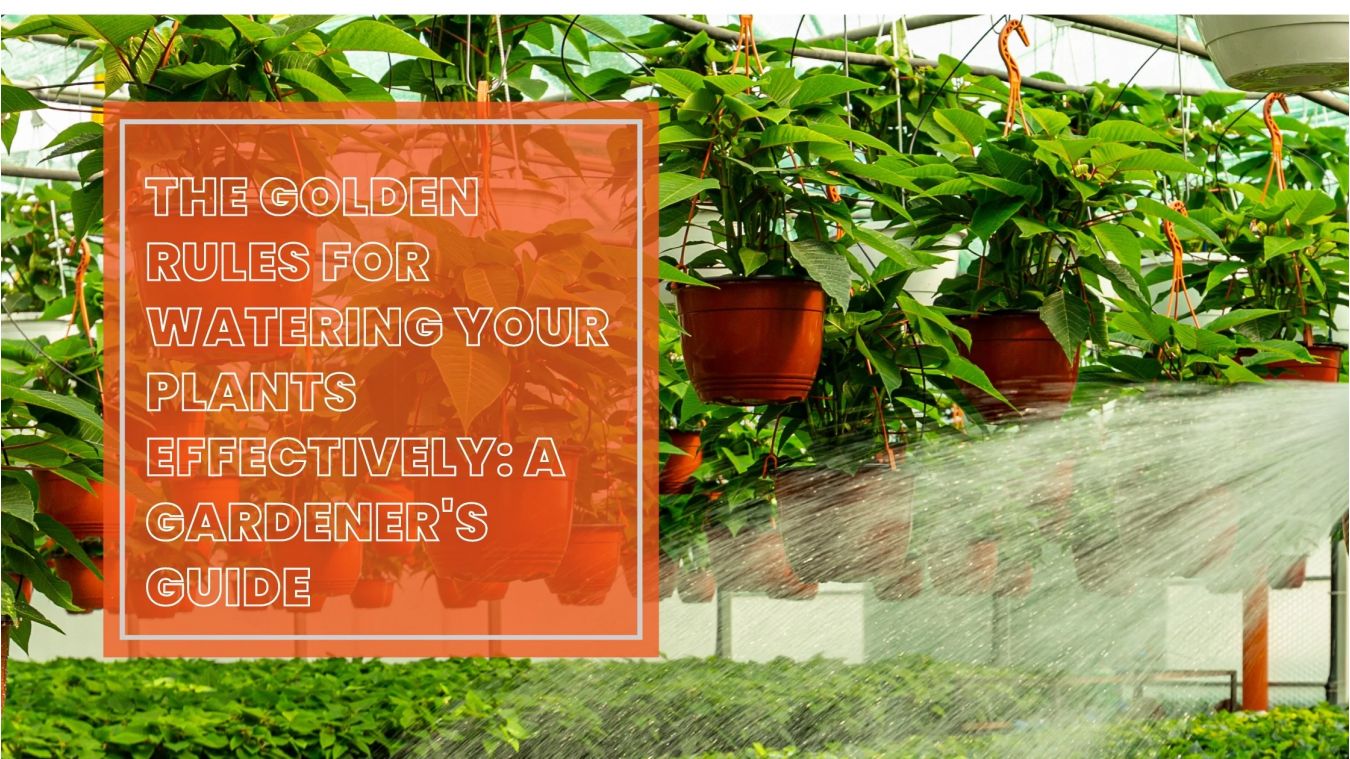 The_Golden_Rules_for_Watering_Your_Plants_Effectively_A_Gardener_s_Guide.jpg