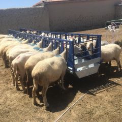 other livestock equipment